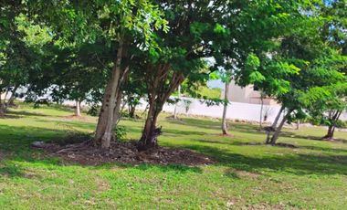 Lotes listos para entrega, con todos los servicios, en el Norte de Merida Yucatan