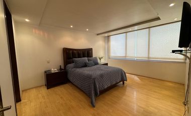 DEPARTAMENTO EN POLANCO IV SECCION