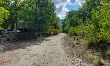 Las Trancas, calle Los Canelos