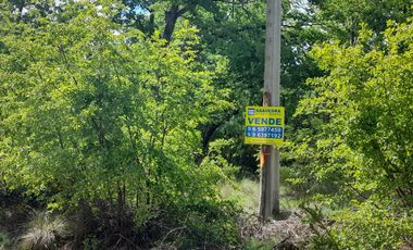 Las Trancas, calle Los Canelos