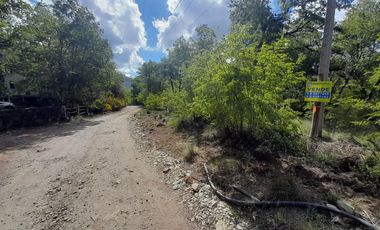 Las Trancas, calle Los Canelos