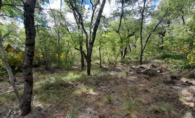 Las Trancas, calle Los Canelos