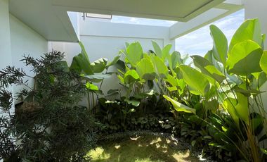 Jual Villa di Canggu Sunset View dan Sawah