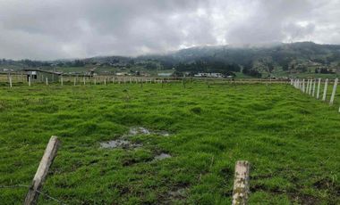 amplio terreno en venta en TARQUI ideal para varios proyectos