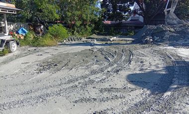 Commercial Lot for Sale in West Service Road Bicutan Paranaque City