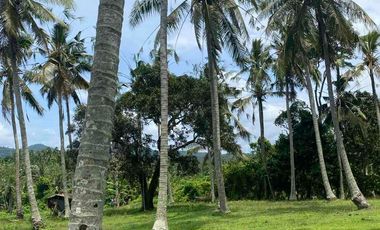 jual tanah dekat pantai soka dan pantai balian Tabanan