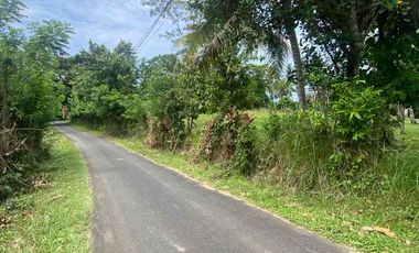 jual tanah dekat pantai soka dan pantai balian Tabanan
