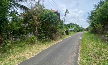 jual tanah dekat pantai soka dan pantai balian Tabanan