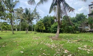 jual tanah dekat pantai soka dan pantai balian Tabanan