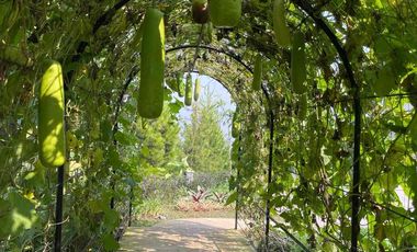 Dijual Villa Diatas Awan, Lokasi Strategis Dekat Area Wisata Dan Kereta Cepat Padalarang