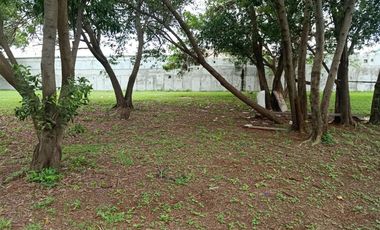 Kavling Hanyaa untuk Sultan yang Beneran Sultan