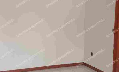 sekelimus harga nego, nego sd jadi, mantap