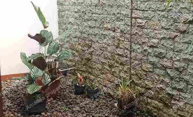 sekelimus harga nego, nego sd jadi, mantap