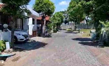 Dijual / Disewakan rumah Alam Hijau Citraland