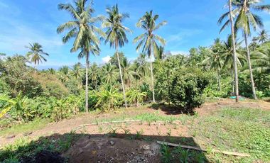 Dijual villa klasik