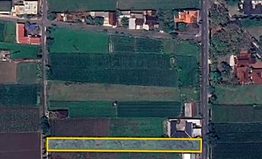 TANAH SAMPING CANDI PRAMBANAN