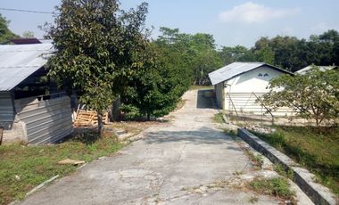 Gudang Luas 727 M2 LT 10367 M2 (Jual atau Sewa), Curugrendeng, Jalan Cagak, Subang.