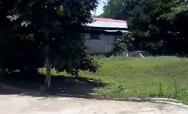 Gudang Luas 727 M2 LT 10367 M2 (Jual atau Sewa), Curugrendeng, Jalan Cagak, Subang.