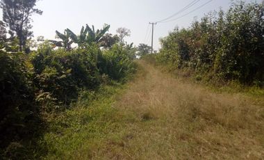 Gudang Luas 727 M2 LT 10367 M2 (Jual atau Sewa), Curugrendeng, Jalan Cagak, Subang.