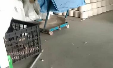 Gudang / Bangunan Eks Pabrik. Mainroad Batujajar Type 800 M2 LT 1100 M2, Batujajar, Bandung Barat.