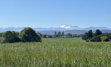 Campo agrícola con riego de 71,9 hectáreas comuna de Coihueco