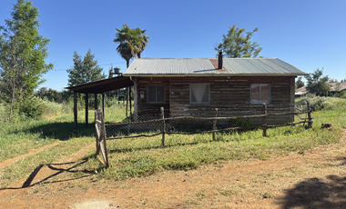 Campo agrícola con riego de 71,9 hectáreas comuna de Coihueco
