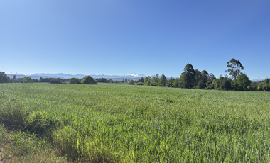 Campo agrícola con riego de 71,9 hectáreas comuna de Coihueco