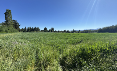 Campo agrícola con riego de 71,9 hectáreas comuna de Coihueco