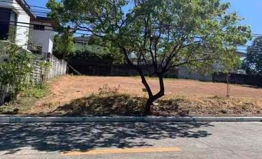 South Bay Garden Barangay BF Homes Sucat Parañaque Residential Vacant Lot For Sale