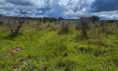 Terreno en venta – 5.000 m² junto al Embalse Mallermo