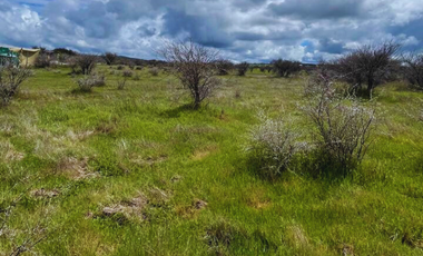 Terreno en venta – 5.000 m² junto al Embalse Mallermo