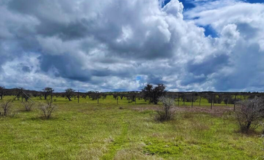 Terreno en venta – 5.000 m² junto al Embalse Mallermo