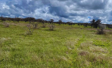 Terreno en venta – 5.000 m² junto al Embalse Mallermo