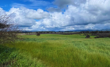 Terreno en venta – 5.000 m² junto al Embalse Mallermo