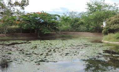 VENDO CASA EN ANAPOIMA