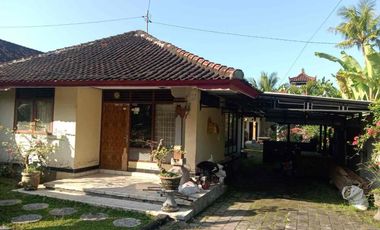 jual rumah Melaya Jembrana