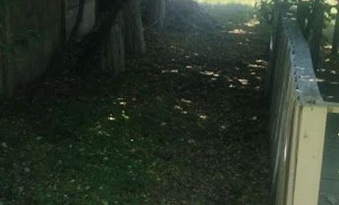 SE VENDE CASA CON TERRENO EN COMUNA DE MAULE, VILLA FRANCIA