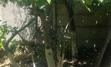 SE VENDE CASA CON TERRENO EN COMUNA DE MAULE, VILLA FRANCIA