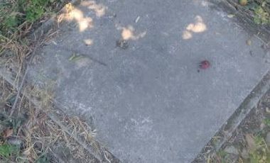 SE VENDE CASA CON TERRENO EN COMUNA DE MAULE, VILLA FRANCIA