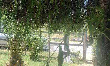 SE VENDE CASA CON TERRENO EN COMUNA DE MAULE, VILLA FRANCIA