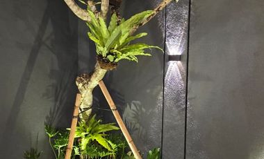 HARGA PROMO Dijual Rumah 2 Lantai Jogja, Jalan Kaliurang Dekat Kampus UII ; Full Furnish