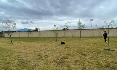 Terreno en venta en excelente ubicación Valquirico