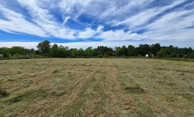 Se vende hermosa parcela sector de Tralcao