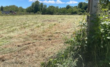 Se vende hermosa parcela sector de Tralcao