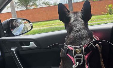 Se vende casa Inteligente de un piso. en la hacienda el Castillo.