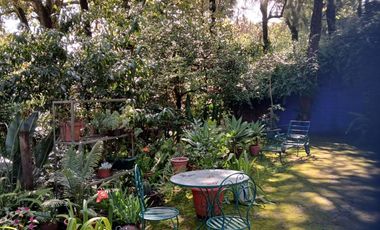 Preciosa casa sola en venta, Col Del Bosque Cuernavaca