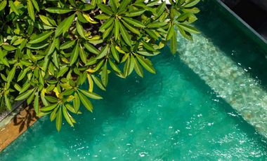 5-Bedroom Villa with Traditional Joglo Design in Canggu (B-CG12)