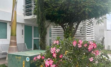 Pethouse en Venta y Renta, finos acabados, piso 1, cuenta con 2 niveles