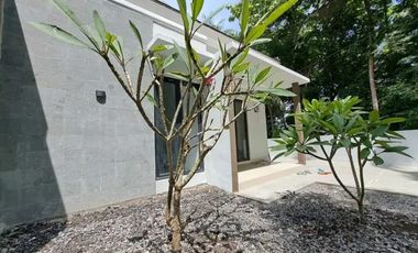 Dekat Kampus UMY, Angsuran 5x—Rumah Ready Ini Bisa Hilang Kapan Saja!