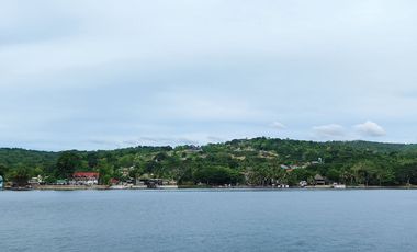 8.5M - LAKESIDE RESIDENTIAL LOT AND COMMERCIAL LOT FOR SALE - LOCATED AT BALETE , BATANGAS